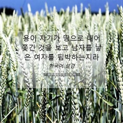 Picture 07 - 요한계시록 12:13 KOR - 용이 자기가 땅으로 내어쫓긴 것을 - Bible Verse Picture