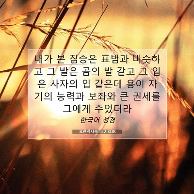 Picture 07 - 요한계시록 13:2 KOR - 내가 본 짐승은 표범과 비슷하고 그 - Bible Verse Picture