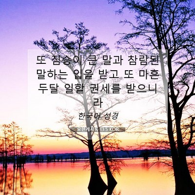 Picture 07 - 요한계시록 13:5 KOR - 또 짐승이 큰 말과 참람된 말하는 - Bible Verse Picture