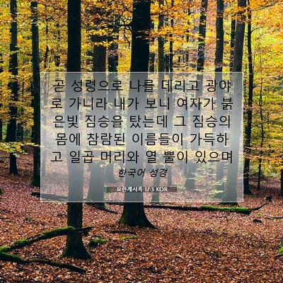 Picture 07 - 요한계시록 17:3 KOR - 곧 성령으로 나를 데리고 광야로 - Bible Verse Picture