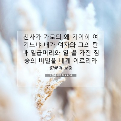 Picture 07 - 요한계시록 17:7 KOR - 천사가 가로되 왜 기이히 여기느냐 - Bible Verse Picture