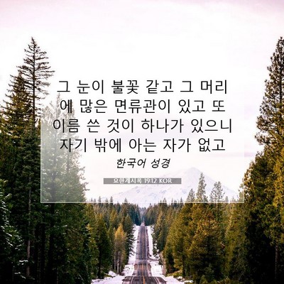 Picture 07 - 요한계시록 19:12 KOR - 그 눈이 불꽃 같고 그 머리에 많은 - Bible Verse Picture