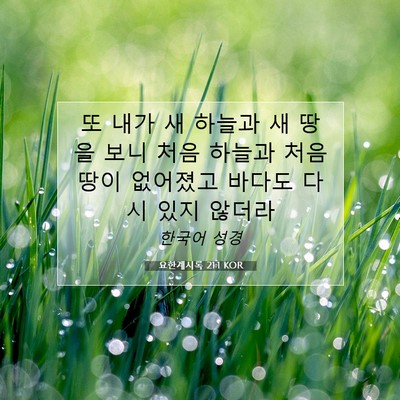Picture 07 - 요한계시록 21:1 KOR - 또 내가 새 하늘과 새 땅을 보니 처음 - Bible Verse Picture