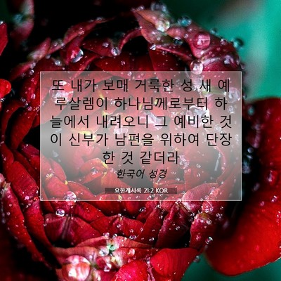 Picture 07 - 요한계시록 21:2 KOR - 또 내가 보매 거룩한 성 새 - Bible Verse Picture