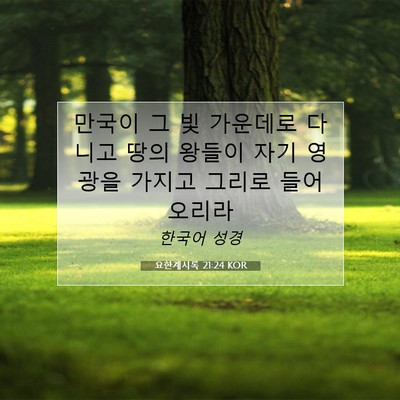 Picture 07 - 요한계시록 21:24 KOR - 만국이 그 빛 가운데로 다니고 땅의 - Bible Verse Picture