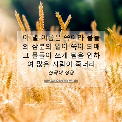 Picture 07 - 요한계시록 8:11 KOR - 이 별 이름은 쑥이라 물들의 삼분의 - Bible Verse Picture