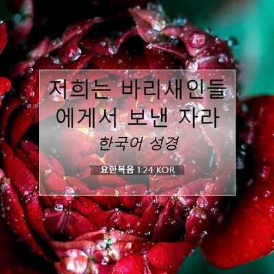 Picture 07 - 요한복음 1:24 KOR - 저희는 바리새인들에게서 보낸 - Bible Verse Picture