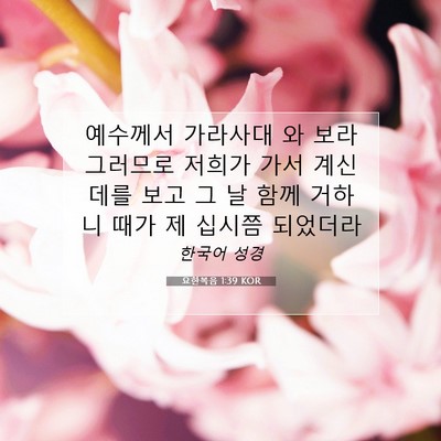 Picture 07 - 요한복음 1:39 KOR - 예수께서 가라사대 와 보라 그러므로 - Bible Verse Picture