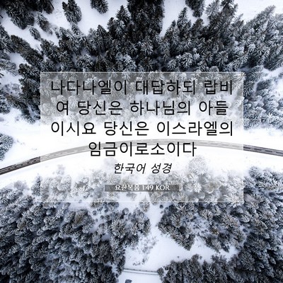 Picture 07 - 요한복음 1:49 KOR - 나다나엘이 대답하되 랍비여 당신은 - Bible Verse Picture