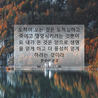 Picture 07 - 요한복음 10:10 KOR - 도적이 오는 것은 도적질하고 죽이고 - Bible Verse Picture