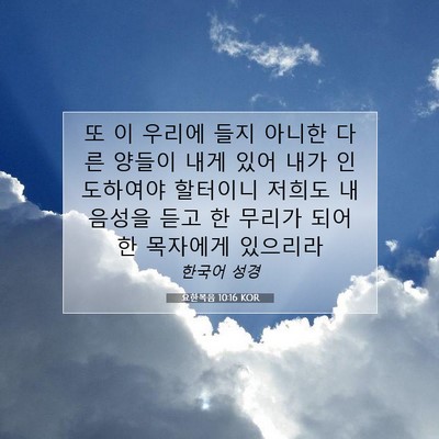 Picture 07 - 요한복음 10:16 KOR - 또 이 우리에 들지 아니한 다른 - Bible Verse Picture