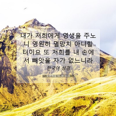 Picture 07 - 요한복음 10:28 KOR - 내가 저희에게 영생을 주노니 영원히 - Bible Verse Picture