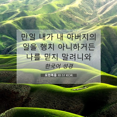 Picture 07 - 요한복음 10:37 KOR - 만일 내가 내 아버지의 일을 행치 - Bible Verse Picture