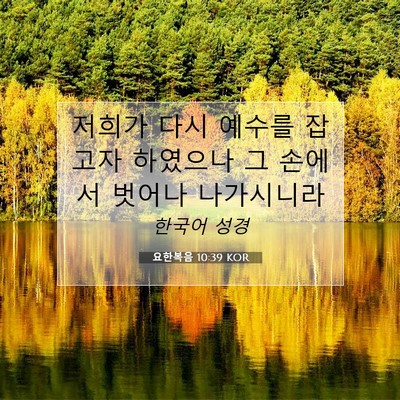 Picture 07 - 요한복음 10:39 KOR - 저희가 다시 예수를 잡고자 하였으나 - Bible Verse Picture