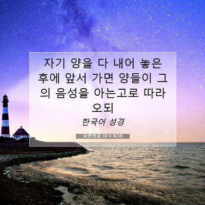 Picture 07 - 요한복음 10:4 KOR - 자기 양을 다 내어 놓은 후에 앞서 - Bible Verse Picture