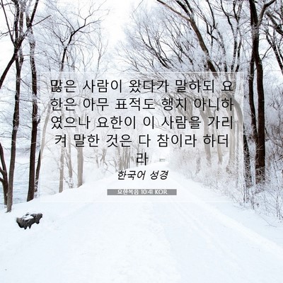 Picture 07 - 요한복음 10:41 KOR - 많은 사람이 왔다가 말하되 요한은 - Bible Verse Picture