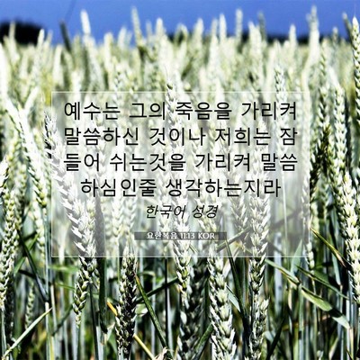 Picture 07 - 요한복음 11:13 KOR - 예수는 그의 죽음을 가리켜 말씀하신 - Bible Verse Picture
