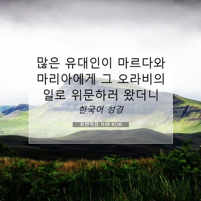 Picture 07 - 요한복음 11:19 KOR - 많은 유대인이 마르다와 마리아에게 - Bible Verse Picture