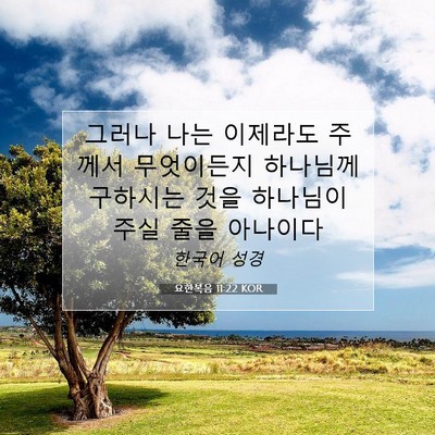 Picture 07 - 요한복음 11:22 KOR - 그러나 나는 이제라도 주께서 - Bible Verse Picture