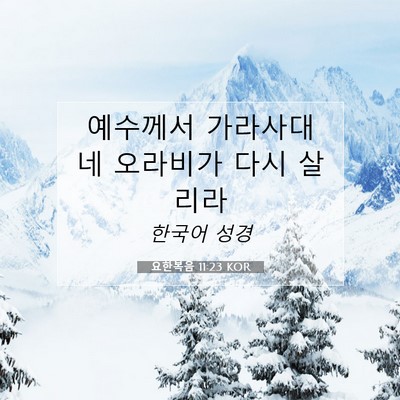 Picture 07 - 요한복음 11:23 KOR - 예수께서 가라사대 네 오라비가 다시 - Bible Verse Picture