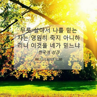Picture 07 - 요한복음 11:26 KOR - 무릇 살아서 나를 믿는 자는 영원히 - Bible Verse Picture