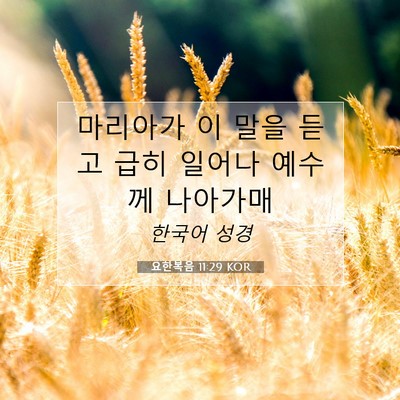 Picture 07 - 요한복음 11:29 KOR - 마리아가 이 말을 듣고 급히 일어나 - Bible Verse Picture