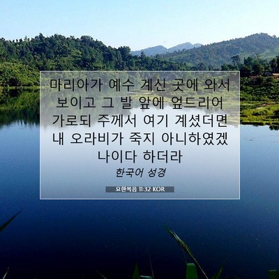 Picture 07 - 요한복음 11:32 KOR - 마리아가 예수 계신 곳에 와서 - Bible Verse Picture