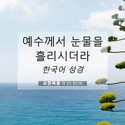 Picture 07 - 요한복음 11:35 KOR - 예수께서 눈물을 - Bible Verse Picture