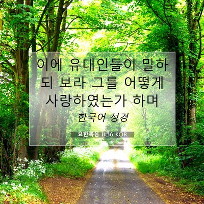 Picture 07 - 요한복음 11:36 KOR - 이에 유대인들이 말하되 보라 그를 - Bible Verse Picture