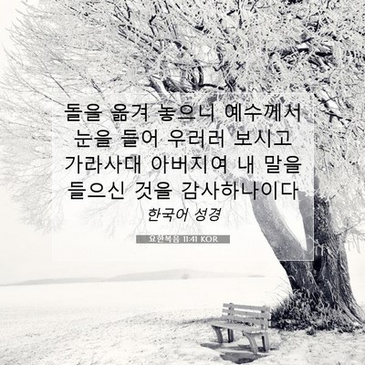 Picture 07 - 요한복음 11:41 KOR - 돌을 옮겨 놓으니 예수께서 눈을 - Bible Verse Picture