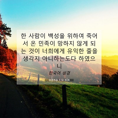 Picture 07 - 요한복음 11:50 KOR - 한 사람이 백성을 위하여 죽어서 온 - Bible Verse Picture