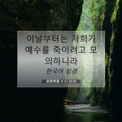 Picture 07 - 요한복음 11:53 KOR - 이날부터는 저희가 예수를 죽이려고 - Bible Verse Picture