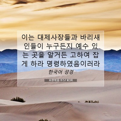 Picture 07 - 요한복음 11:57 KOR - 이는 대제사장들과 바리새인들이 - Bible Verse Picture