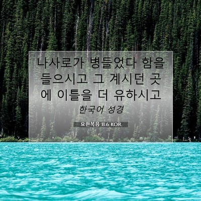 Picture 07 - 요한복음 11:6 KOR - 나사로가 병들었다 함을 들으시고 그 - Bible Verse Picture