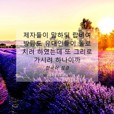 Picture 07 - 요한복음 11:8 KOR - 제자들이 말하되 랍비여 방금도 - Bible Verse Picture