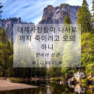 Picture 07 - 요한복음 12:10 KOR - 대제사장들이 나사로까지 죽이려고 - Bible Verse Picture
