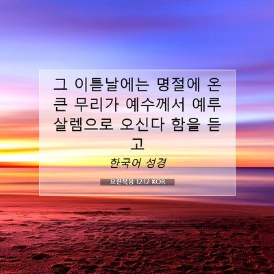 Picture 07 - 요한복음 12:12 KOR - 그 이튿날에는 명절에 온 큰 무리가 - Bible Verse Picture