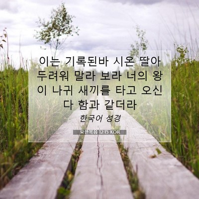 Picture 07 - 요한복음 12:15 KOR - 이는 기록된바 시온 딸아 두려워 - Bible Verse Picture