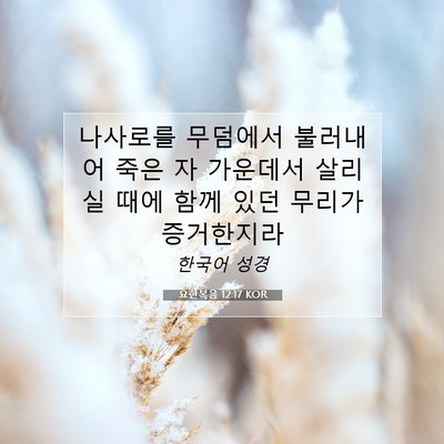 Picture 07 - 요한복음 12:17 KOR - 나사로를 무덤에서 불러내어 죽은 자 - Bible Verse Picture