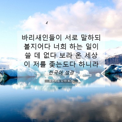 Picture 07 - 요한복음 12:19 KOR - 바리새인들이 서로 말하되 볼지어다 - Bible Verse Picture