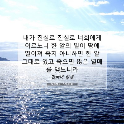 Picture 07 - 요한복음 12:24 KOR - 내가 진실로 진실로 너희에게 - Bible Verse Picture