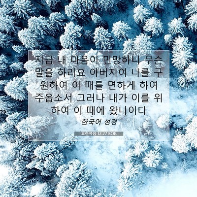 Picture 07 - 요한복음 12:27 KOR - 지금 내 마음이 민망하니 무슨 말을 - Bible Verse Picture