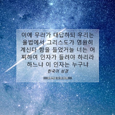 Picture 07 - 요한복음 12:34 KOR - 이에 무리가 대답하되 우리는 - Bible Verse Picture