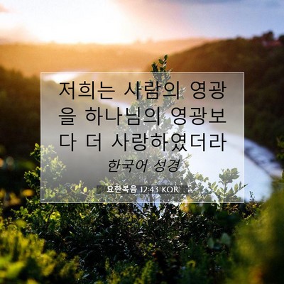 Picture 07 - 요한복음 12:43 KOR - 저희는 사람의 영광을 하나님의 - Bible Verse Picture