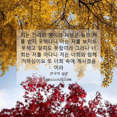 Picture 07 - 요한복음 14:17 KOR - 저는 진리의 영이라 세상은 능히 - Bible Verse Picture