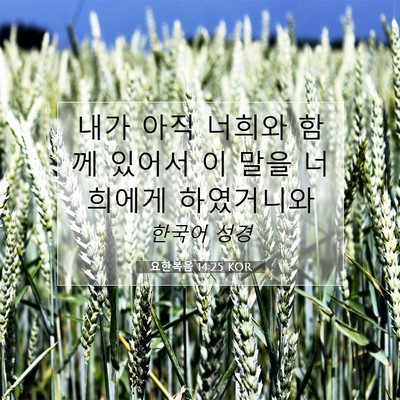 Picture 07 - 요한복음 14:25 KOR - 내가 아직 너희와 함께 있어서 이 - Bible Verse Picture