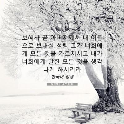 Picture 07 - 요한복음 14:26 KOR - 보혜사 곧 아버지께서 내 이름으로 - Bible Verse Picture