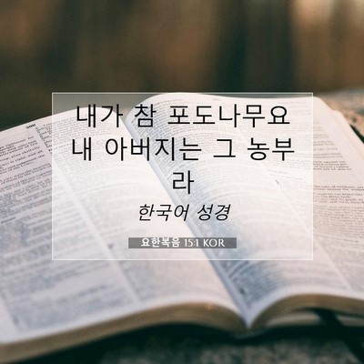 Picture 07 - 요한복음 15:1 KOR - 내가 참 포도나무요 내 아버지는 그 - Bible Verse Picture