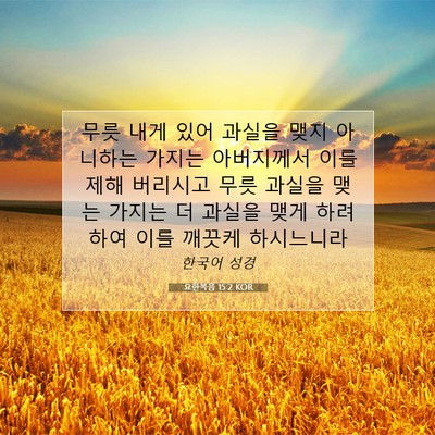 Picture 07 - 요한복음 15:2 KOR - 무릇 내게 있어 과실을 맺지 - Bible Verse Picture