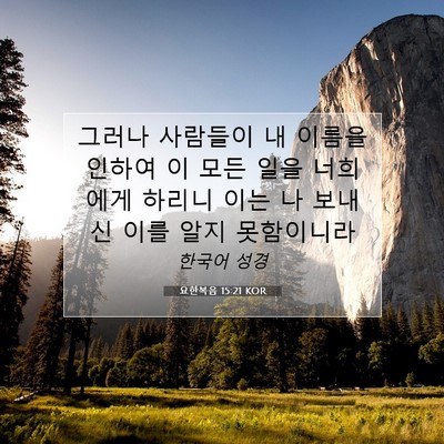 Picture 07 - 요한복음 15:21 KOR - 그러나 사람들이 내 이름을 인하여 - Bible Verse Picture